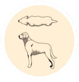 ideal-weight ideal-weight