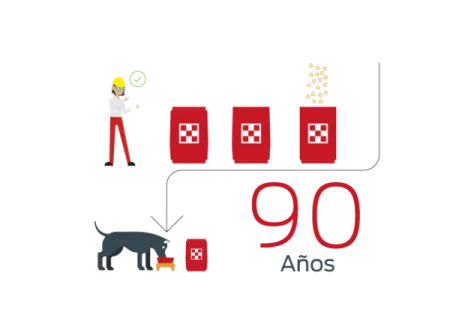 A%C3%B1os_0.png.webp?itok=RW4pXaDh A%C3%B1os_0.png.webp?itok=RW4pXaDh