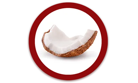 03_Purina_ONE_ICONOS_Coco.png.webp?itok=N-AYmvFF