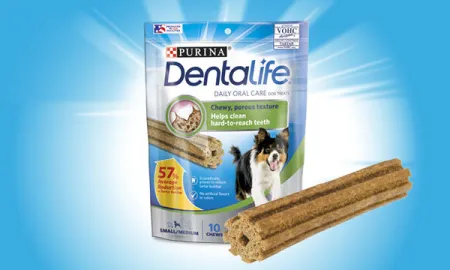 Purina%20Dentalife%20Small%20medium%20Car.jpg.webp?itok=fXeV1JHf Purina%20Dentalife%20Small%20medium%20Car.jpg.webp?itok=fXeV1JHf