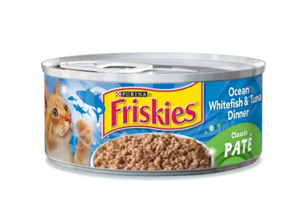 ocean_with_fish_friskies.png.webp?itok=vOR8rDar