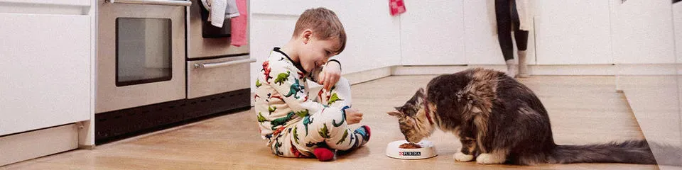 purina-teaching-kids-to-care-for-dogs-and-cats-1200x300.jpg.webp