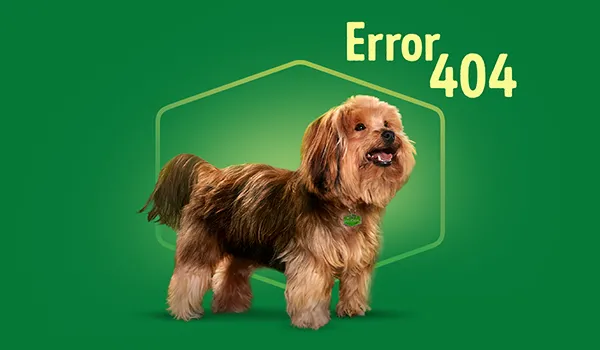 Error 404 Dog Chow
